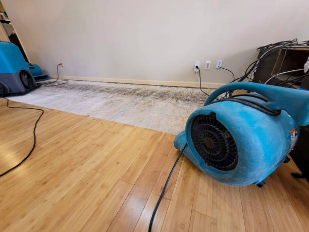 Professional Water Damage Repair technician working in Hartville, OH